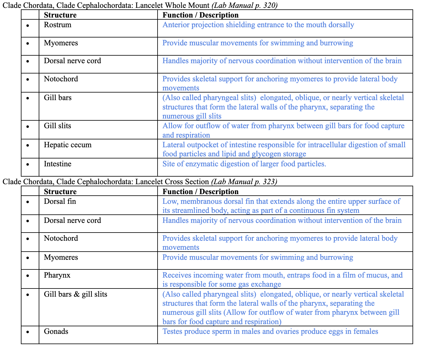 <p>Clade <span style="background-color: transparent;">Cephalochordata within Clade Chordata </span></p>