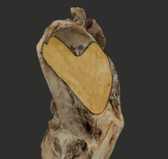 <p>What muscle is highlighted in the picture?</p>