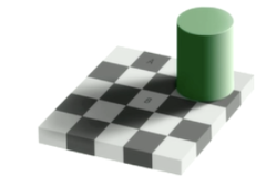 <p>Adelson's Checker=Shadow Illusion: When looking at the following image, we know that square B is perceived to be brighter. However the lumiance of both objects is the same. Why do we perceive square B to be lighter?</p>