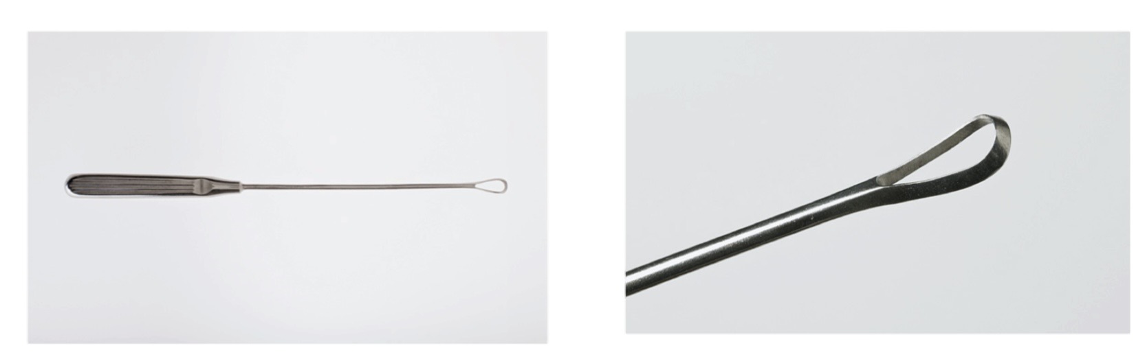 <p>name this instrument</p>