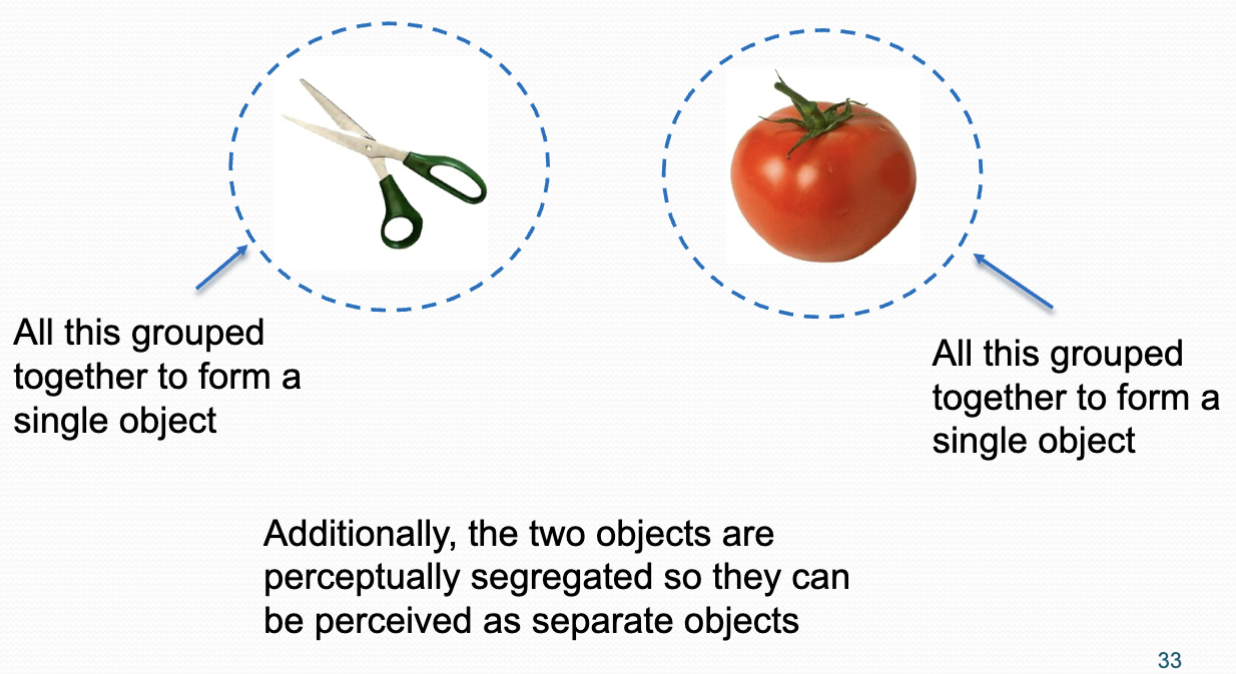 <p>Together, grouping and segregation allow a scene to perceptually organised into its constituent objects thereby allowing observers to make sense of the scene. </p>