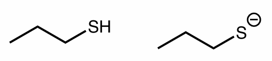 <p>which is a strong/better nucleophile? </p>