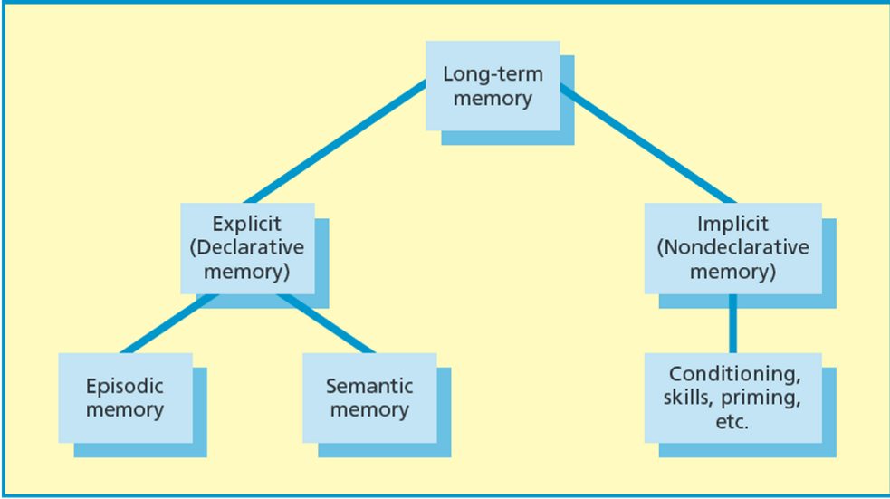 <p><span style="background-color: rgb(178, 162, 199);"><strong>Taxonomie von Squire:</strong></span></p><p>Das Langzeitgedächtnis kann in zwei Formen von Gedächtnissen unterschieden werden:</p><ul><li><p><span style="background-color: rgb(178, 162, 199);"><strong>Explizites Gedächtnis (Deklaratives Gedächtnis)</strong></span></p></li><li><p><span style="background-color: rgb(178, 162, 199);"><strong>Implizites Gedächtnis (Nondeklaratives Gedächtnis)</strong></span></p></li></ul><p>Das Explizites Gedächtnis kann wiederum unterschieden werden in:</p><ul><li><p><span style="background-color: rgb(204, 193, 217);"><strong>Episodisches Gedächtnis</strong></span></p></li><li><p><span style="background-color: rgb(204, 193, 217);"><strong>Semantisches Gedächtnis</strong></span></p></li></ul><p>Das Implizites Gedächtnis (Nondeklaratives Gedächtnis) beinhaltet:</p><ul><li><p><span>Konditionierung</span></p></li><li><p><span>Fertigkeiten</span></p></li><li><p><span>Priming usw.</span></p></li></ul><p></p>