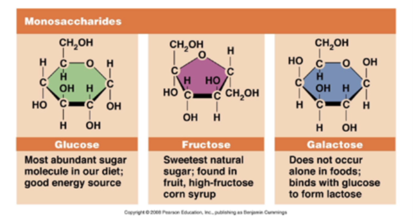<p>Glucose, fructose, galactose</p>
