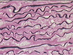 <p>What does this image show?</p>