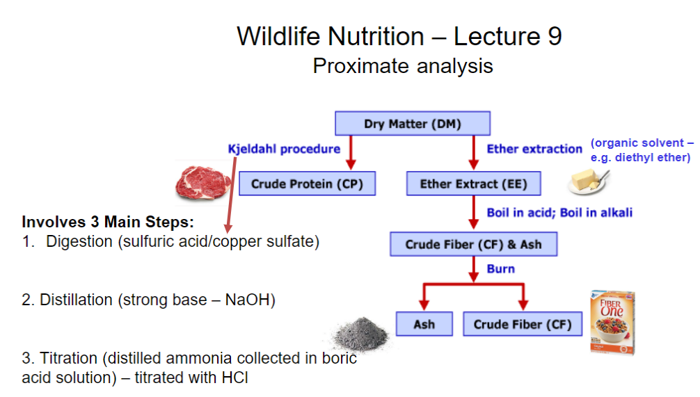 <p>Main Components and Procedures</p><ul><li><p>Dry Matter (DM) → determines moisture content by measuring what remains after water is removed</p></li><li><p>Crude Protein (CP) → determined using the Kjeldahl procedure</p></li><li><p>Ether Extract (EE) → determined using ether extraction with an organic solvent, such as diethyl ether</p></li><li><p>Crude Fiber (CF) → determined by boiling the sample in acid, then alkali</p></li><li><p>Ash → determined by burning the sample to measure inorganic residue</p></li></ul><p>Kjeldahl Procedure: Measuring Crude Protein</p><ol><li><p>Digestion → sulfuric acid and copper sulfate</p></li><li><p>Distillation → strong base (NaOH) releases ammonia</p></li><li><p>Titration → distilled ammonia is collected in boric acid solution and titrated with HCl</p></li></ol><p>Memory Cue</p><ul><li><p>CP → Kjeldahl</p></li><li><p>EE → Ether extraction</p></li><li><p>CF → Acid + alkali</p></li><li><p>Ash → Burning</p></li></ul><p></p>