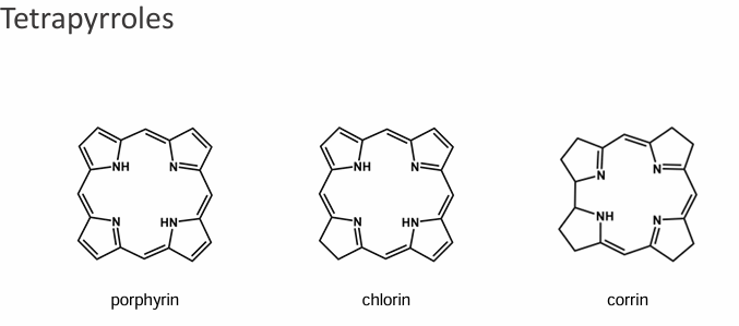 <p>Tetrapyroles are found in plants and animals</p>