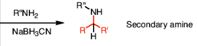<p>R’’NH2 and a reducing agent<span style="color: rgb(0, 0, 0);"> (NaBH3CN) </span></p>