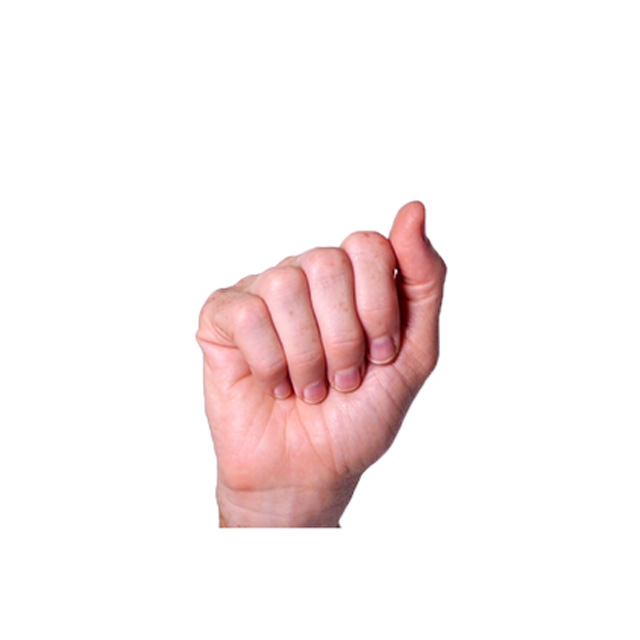 term image