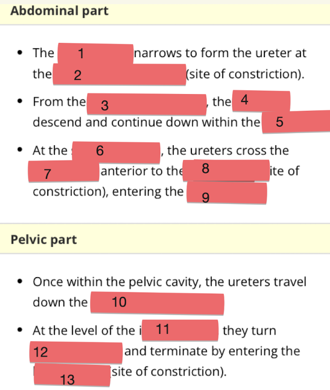 <p>Fill in blanks 6-10</p>