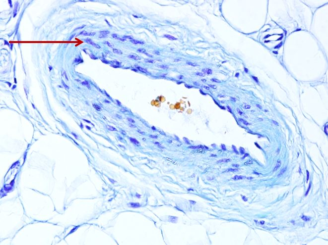 <p>Cấu trúc gì ?</p>