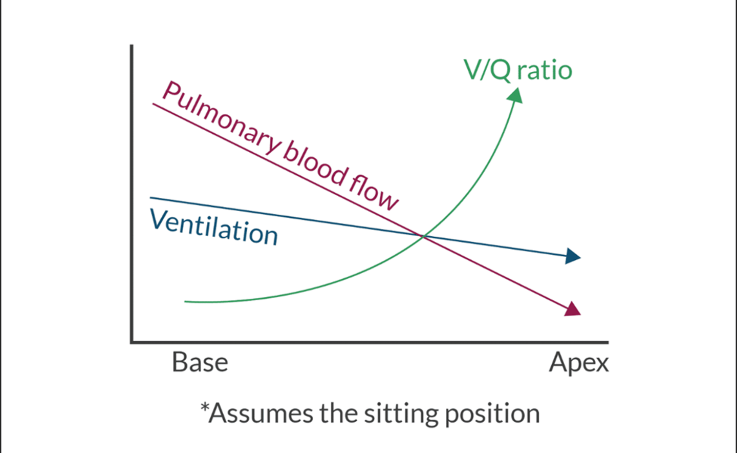 <p>Assume the image is of a pt in the sitting position</p><p>V/Q are perfectly matched at intersection</p><p>Apex V>Q</p><p>Base V</p>