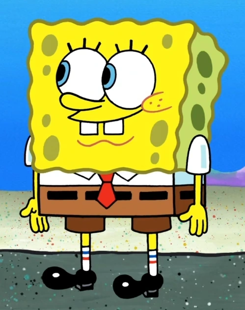 <p>Compact and Spongy</p>