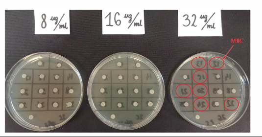 <p>Agar Dilution Method</p><ul><li><p>Performed by preparing ___-fold dilutions of an antibiotic in a series of tubes containing _____ agar.</p></li><li><p>The bacteria is adjusted using 0._ ________ standard (1-2 x108 cells/mL) and then spot-inoculated in a grid that contains 104 to 105 cells/mL.</p></li><li><p>MIC is determined by checking the _______ concentration of antibiotic where bacterial growth (presence of colony) is absent.</p></li></ul><p></p>