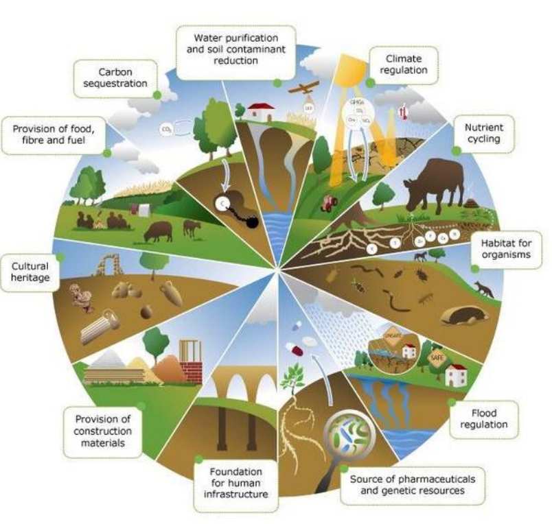 <p>Integrated Approach to Sustainable Land Management (SLM)</p>