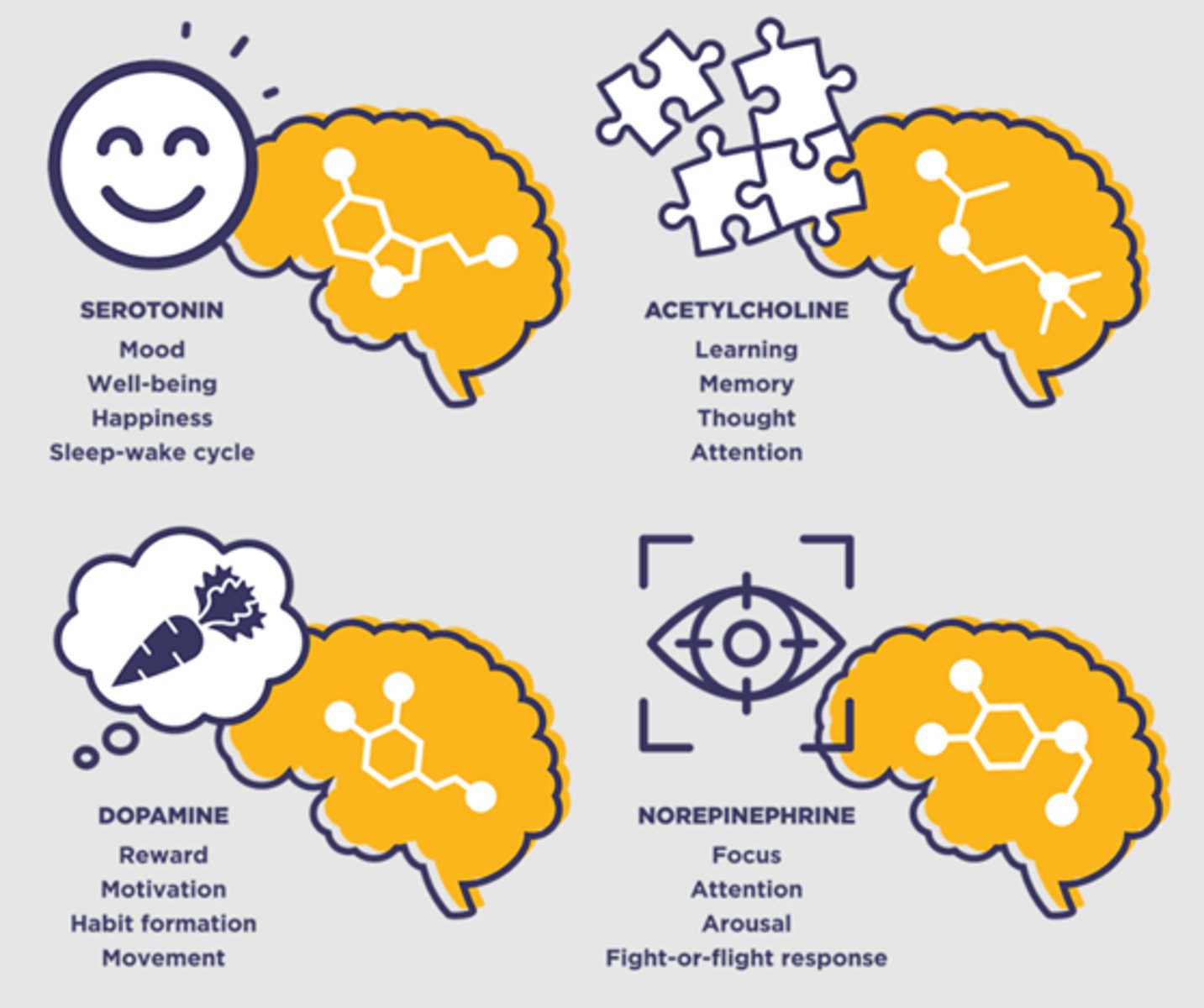 <p>•Dopamine =Memory and attention; effort and planning</p><p>•Serotonin =Mood, appetite, sleep</p><p>•Acetylcholine= Arousal, sensory perception, attention</p><p>•Norepinephrine = Motor changes</p>