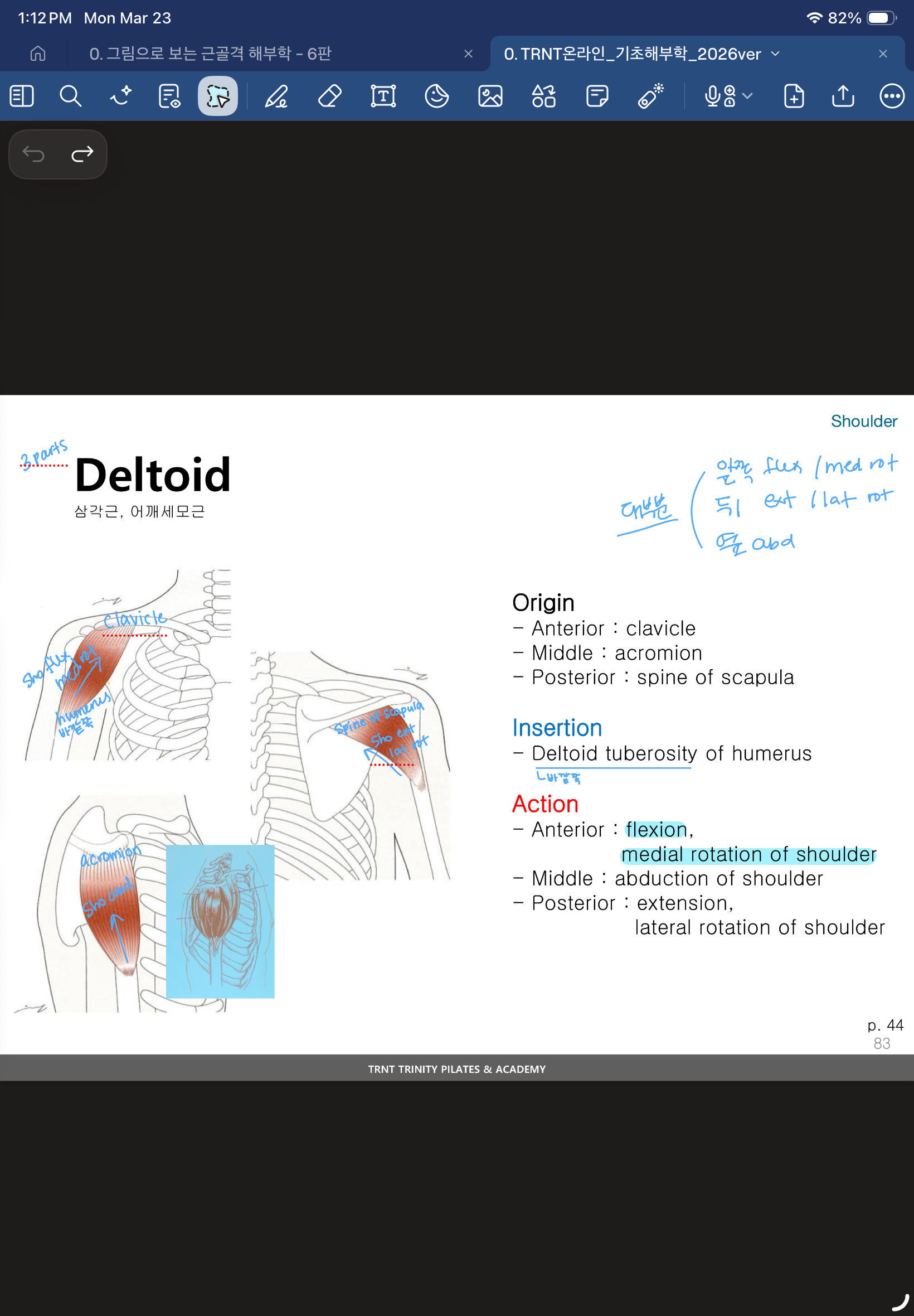 <p>shoulder flexion, shoulder medial rotation</p>