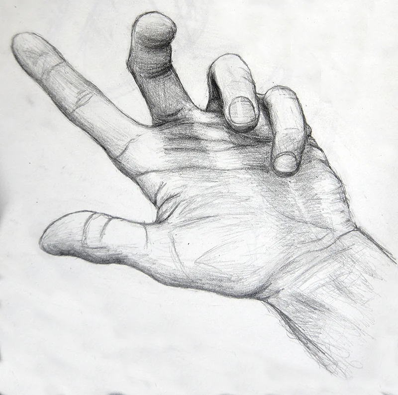 <p><strong>Los dedos de la mano</strong></p>