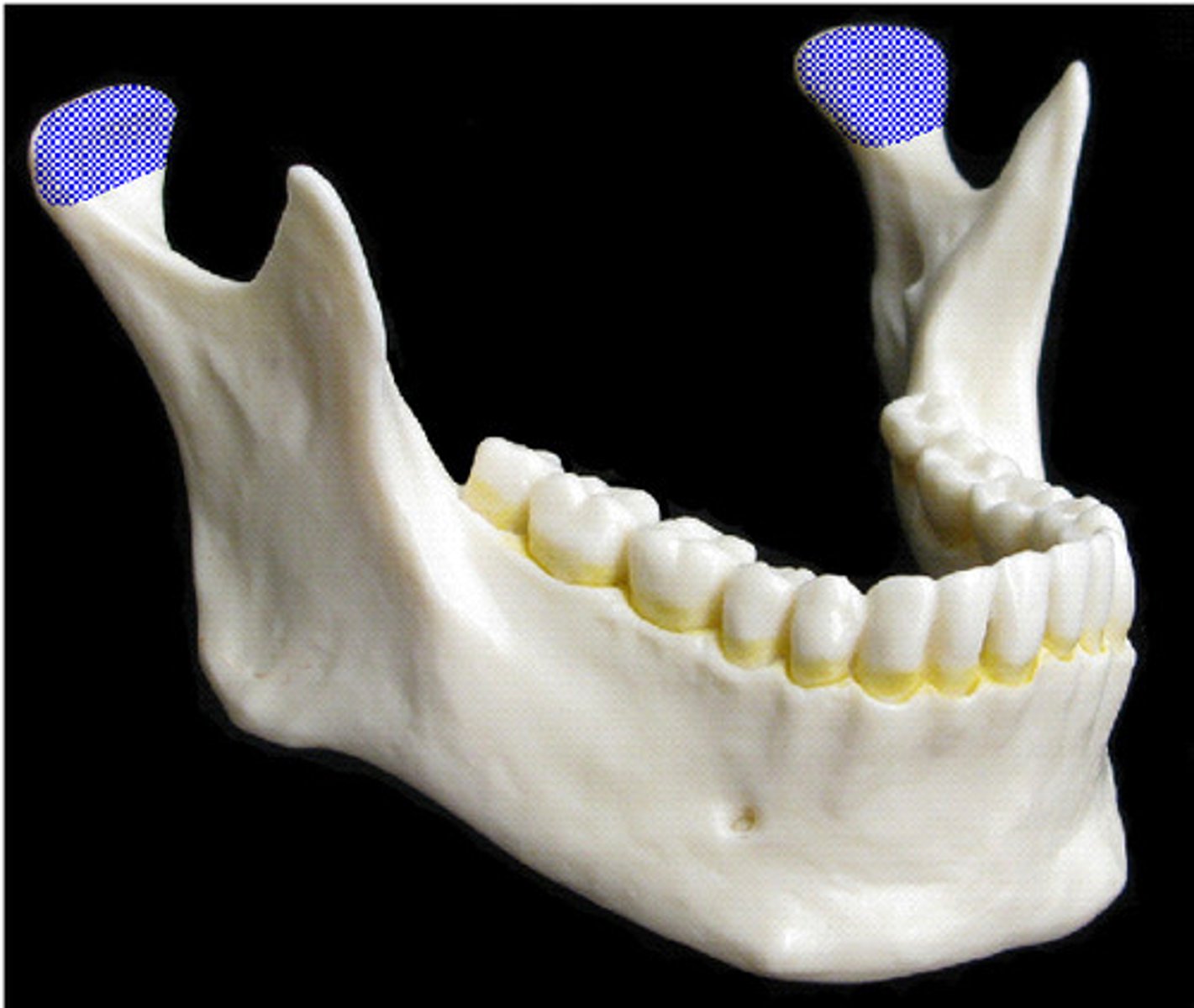 <p>ID highlighted STRUCTURE</p>