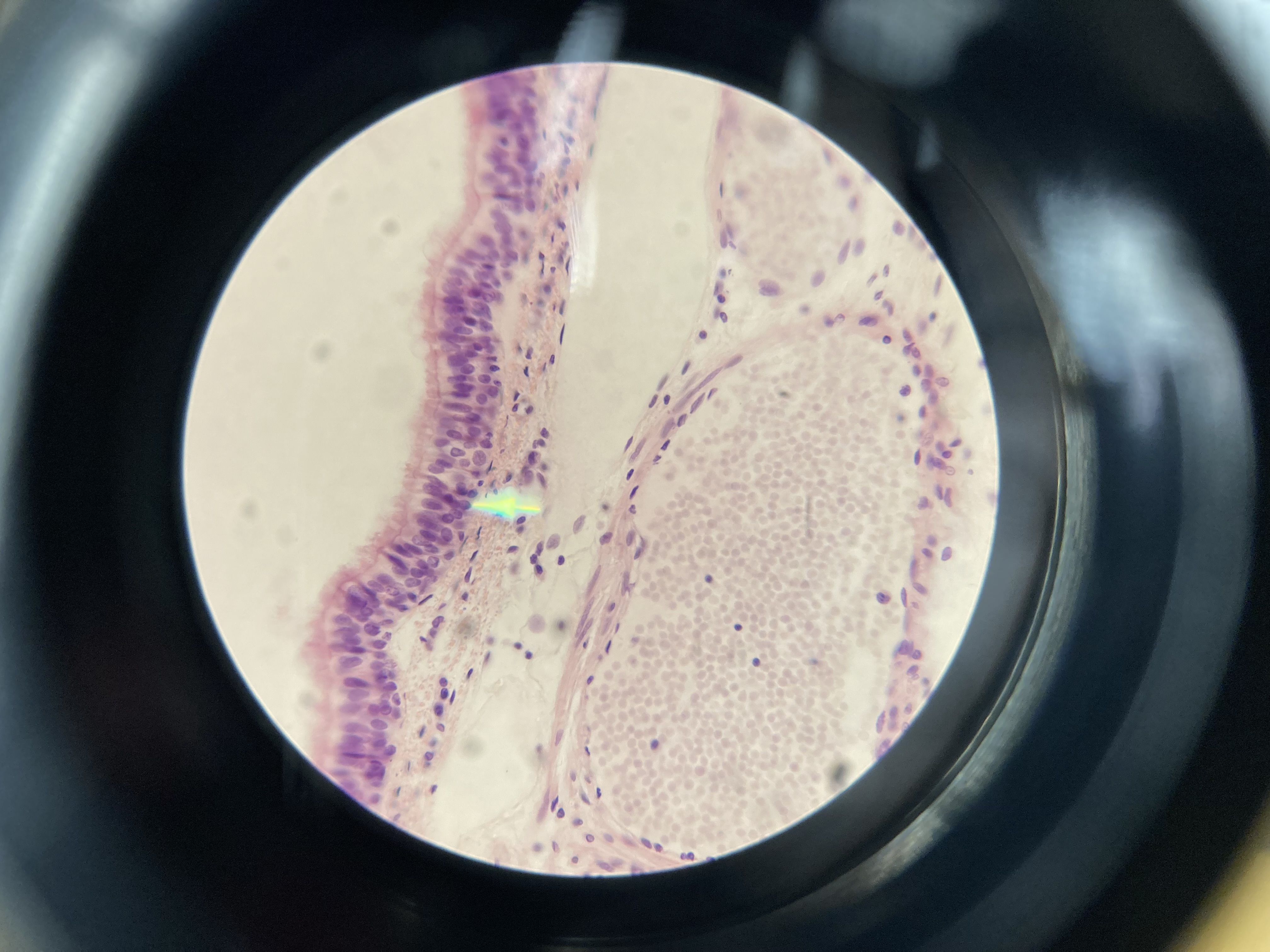 <p>What is shown?</p>