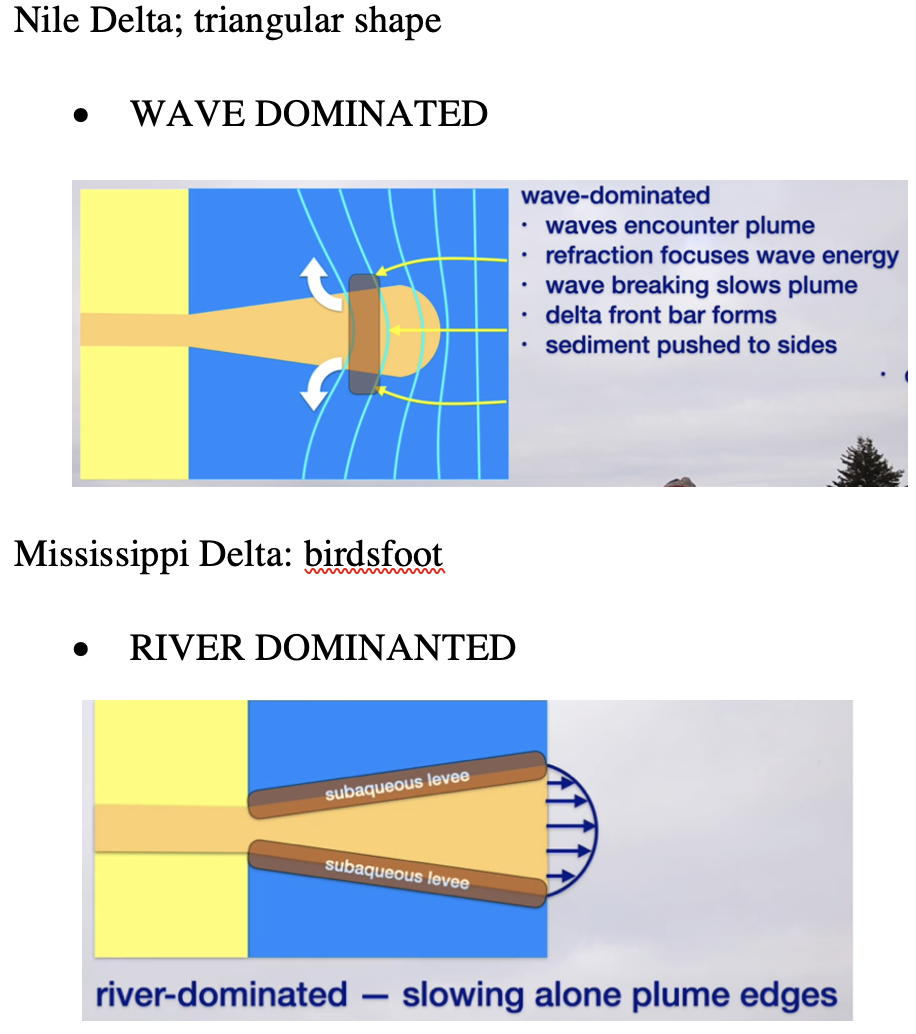 <ul><li><p><span>River Delta</span></p><ul><li><p><span>Coastal accumulation of river-derived sediment formed adjacent to a river mouth</span></p></li><li><p><span>Form in any body of water where river-derived sediment accumulates faster than it is dispersed</span></p></li></ul></li><li><p class="MsoListParagraphCxSpMiddle"><span>Delta Planform</span></p><ul><li><p class="MsoListParagraphCxSpMiddle"><span>Vary in shapes</span></p><ul><li><p class="MsoListParagraphCxSpMiddle"><span>Nile Delta; triangular shape WAVE DOMINATED</span></p></li><li><p class="MsoListParagraphCxSpMiddle"><span>Mississippi Delta: birdsfoot RIVER DOMINATED </span></p></li><li><p class="MsoListParagraphCxSpMiddle"><span>Ganges Brahmaputra: shore-perpendicular channels TIDE DOMINATED</span></p><ul><li><p class="MsoListParagraphCxSpMiddle"><span>Self-channelize</span></p></li><li><p class="MsoListParagraphCxSpMiddle"><span>Mud deposits at high tide, as the flow goes back out, the mud is pulled back out, thus creating channel walls</span></p></li><li><p class="MsoListParagraphCxSpMiddle"><span>Channel walls create a flow focused within the channels</span></p></li></ul></li></ul></li></ul></li></ul><ul><li><p class="MsoListParagraphCxSpMiddle"><span>Sediment Deposition</span></p><ul><li><p class="MsoListParagraphCxSpMiddle"><span>Sediment deposits where currents slow down</span></p></li><li><p class="MsoListParagraphCxSpMiddle"><span>Mixing of river water and basin water slows the river plume</span></p></li></ul></li></ul><p></p>
