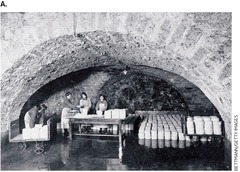 <p>They are involved in the production of fermented foods and can spoil food.</p>
