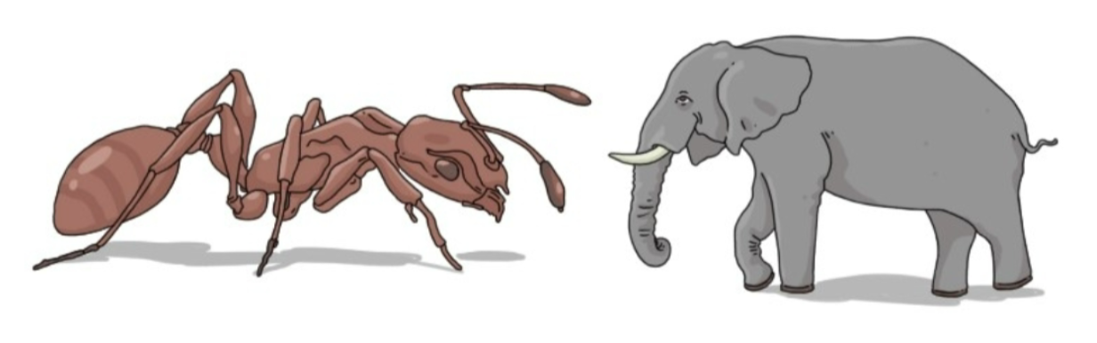 <p>Could the super giant ant carry the weight of several elephants?</p><p></p>