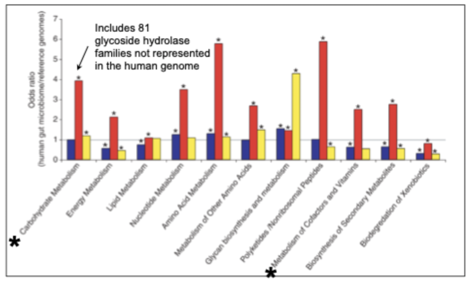 <p>what does a value of greater than one in the red columns of this graph indicate, given the blue is human genes relating to that function</p>