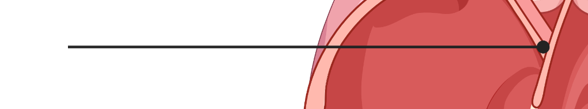 <p>What is this part of the heart?</p>