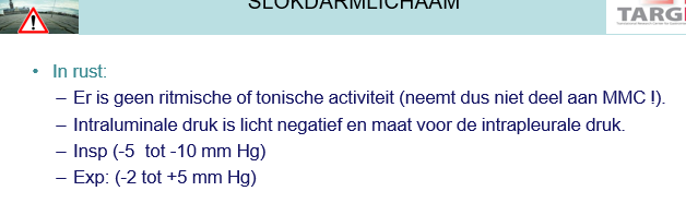<p><span>De intraluminale druk is negatief door intrapleurale druk die negatief is voor longen om uit te kunnen zetten.</span></p><p style="text-align: left;"></p><p style="text-align: left;"><span>Hierdoor fluctueert de druk in het slokdarmlichaam dus ook met de ademhaling:</span></p><p style="text-align: left;"><span>Bij inspiratie: -5 tot -10 mmHg</span></p><p style="text-align: left;"><span>Bij expiratie: -2 tot +5 mmHg</span></p>