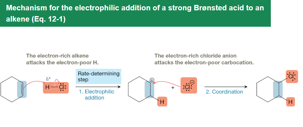 <p>Strong acids add across alkene π bonds through carbocation intermediates following Markovnikov regioselectivity with possible rearrangements and no carbon skeleton change.</p>