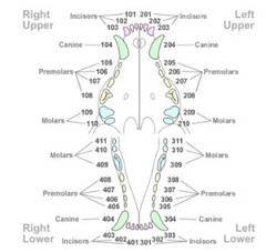 <p>104</p>