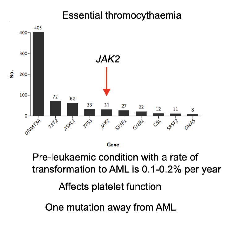 <ul><li><p>A <strong>pre-leukaemic blood disorder</strong> where the body makes too many platelets</p></li><li><p>Commonly involves mutations (especially <strong>JAK2</strong>, among others like DNMT3A, TET2, ASXL1)</p></li><li><p>Causes <strong>abnormal platelet function</strong> → risk of clotting or bleeding</p></li><li><p>Has a <strong>low risk of progression to acute myeloid leukaemia (AML)</strong> (~0.1–0.2% per year)</p></li><li><p>Considered <strong>close to AML in disease spectrum</strong> (“one mutation away”)</p></li></ul><p></p>