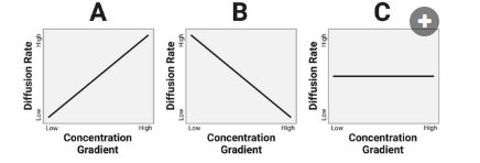 <p>The figure below presents three graphs. Each graph below shows a relationship between the concentration gradient of a solute and the rate of diffusion in a solution.&nbsp;<br>Which graph shows the most likely relationship?</p><p><br>a. Graph A<br>b. Graph B<br>c. Graph C</p>