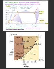 <p>Equations of the type "heat gained = heat lost"</p><p> * Here, both sides of the equation must have the same algebraic sign. Therefore, when calculating heat energy contributions, always write any temperature changes as the higher temperature minus the lower temperature!</p><p> * Temperature of water changes: during these periods, temperature rises as heat is added -> Q = mcΔT</p><p> ⋆˚✿˖° Ice warms</p><p> ⋆˚✿˖° Liquid water warms</p><p> ⋆˚✿˖° Steam warms</p><p> * Phase of water changes: during these periods, temperature stays constant and the phase change proceeds as heat is added: Q = +mL</p><p> ⋆˚✿˖° Ice melts to liquid water at 0°C</p><p> ⋆˚✿˖° Liquid water vaporizes to steam at 100°C</p>