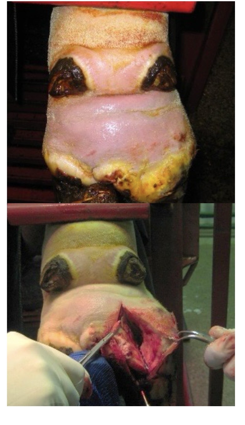 <p>what is this?</p>