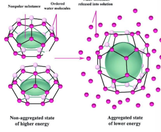 <p><strong>Nonpolar compounds</strong> interfere with<strong> hydrogen bonding amounh H2O molecules.</strong> <span style="color: blue;"><strong>The water becomes ordered around the molecule</strong></span> —> creates a water ____ around NP molecule </p>