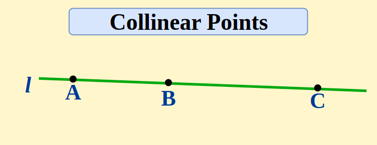 <p>points that lie on the same line </p>