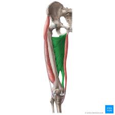 <p>A: adduction hips </p>