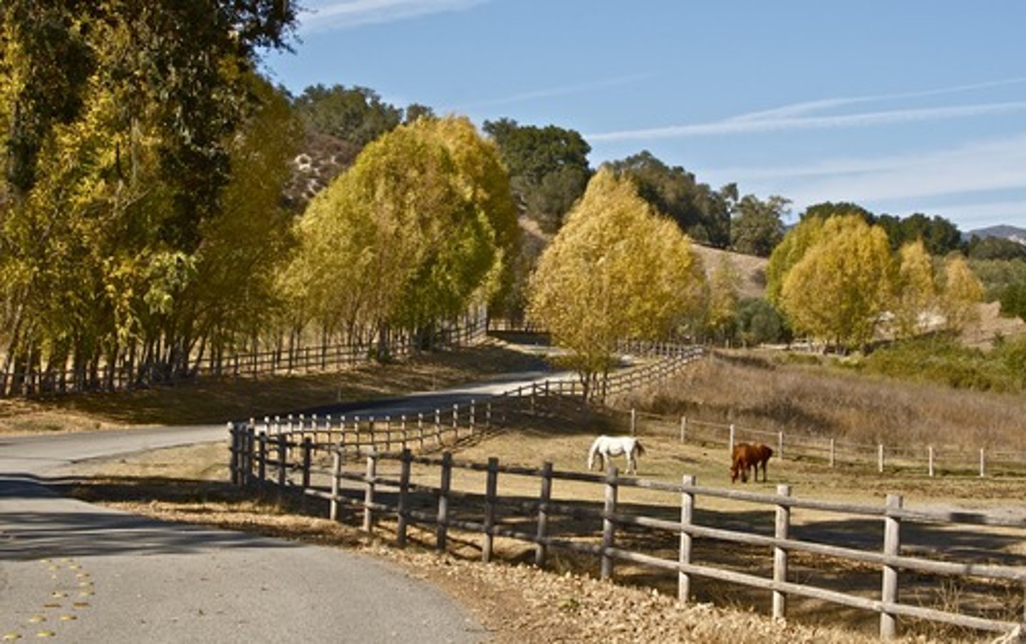 <p>charmingly rural</p>