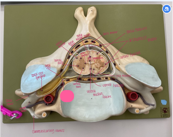 <p>What is being shown </p>