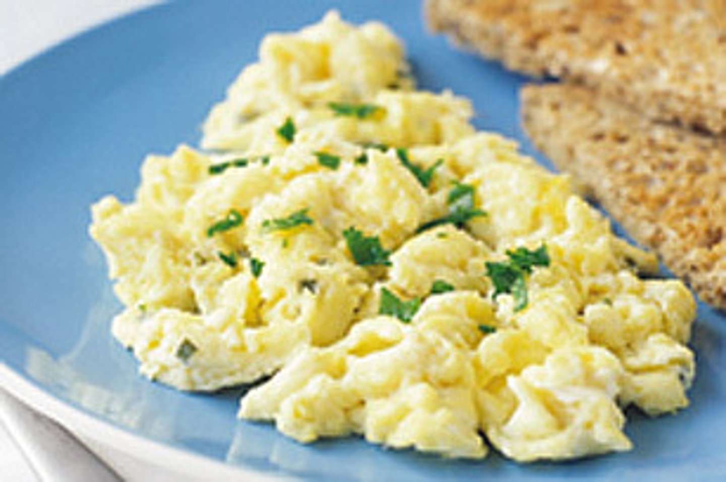 <p>scrambled egg</p>