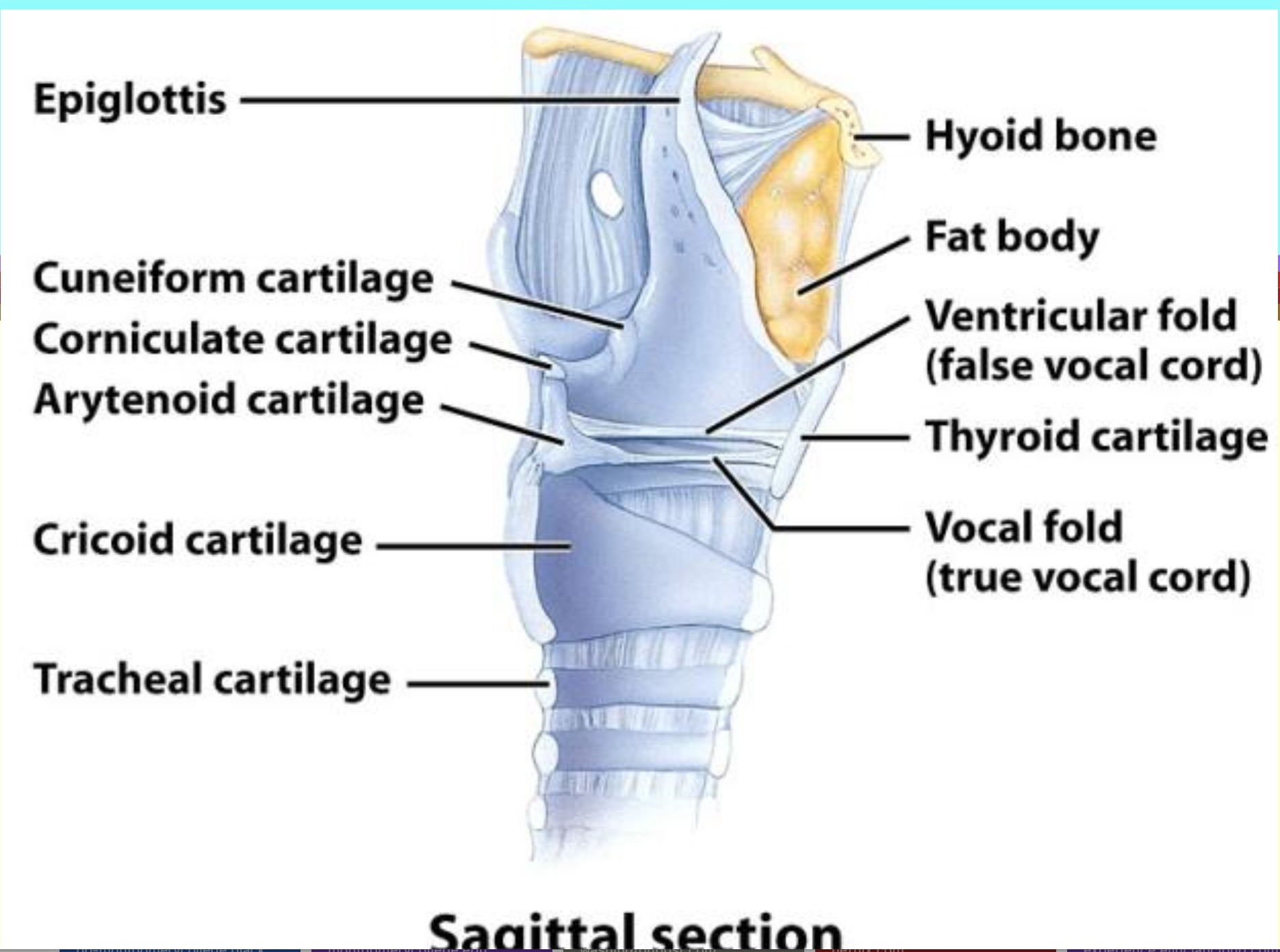 <p>look at image</p>