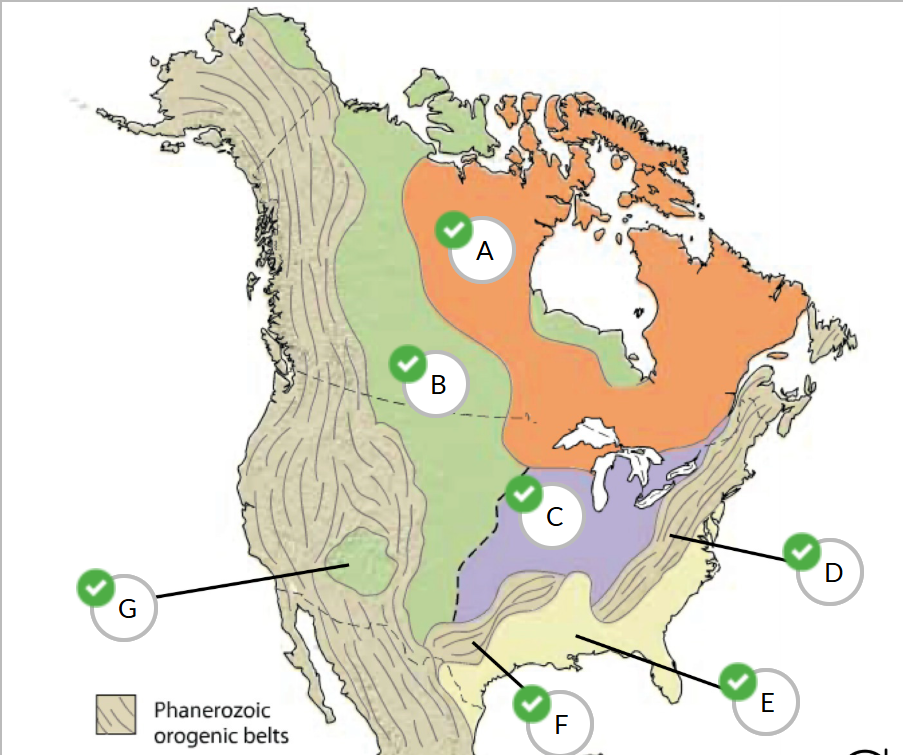 <p><span>Identify North America's geologic provinces by dragging the labels to the indicated regions.</span></p>