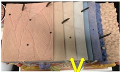 <p>two layers, thick skin only</p>