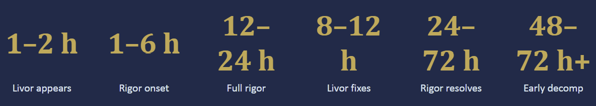 <p>What does this represent?</p>