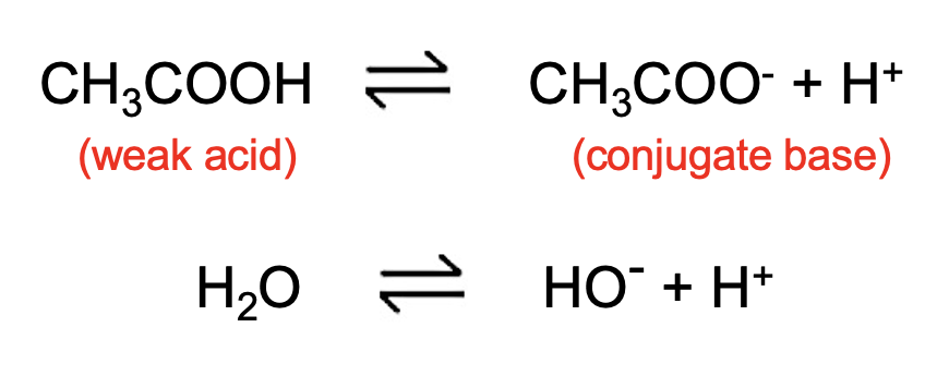 <ul><li><p>resist the changes in pH because an equilibrium between the buffer’s components is established</p></li><li><p>at equilibrium, [conjugate acid] and [conjugate base] are large and therefore able to neutralize small amounts of other acids and bases when they are added to the solution</p></li></ul><p></p>