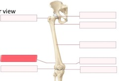 <p>What should go in the highlighted red blank?</p>