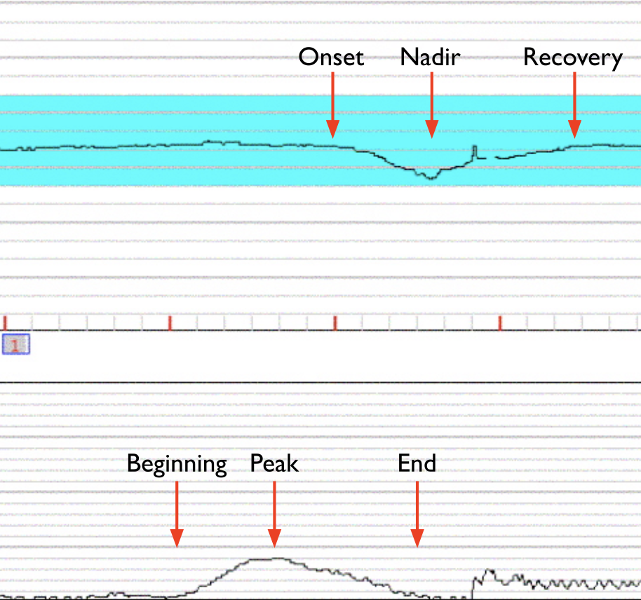 <p>this is showing</p>