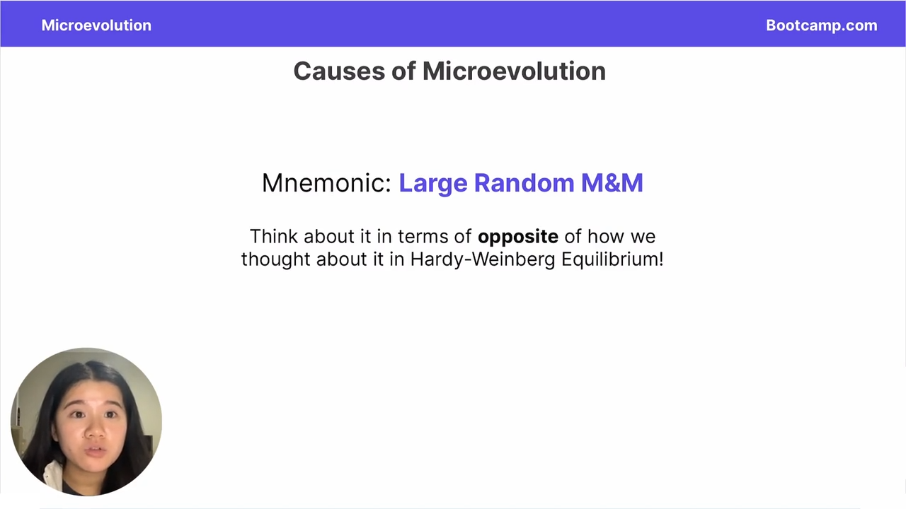 <p>Oposite of large random m&amp;m</p>